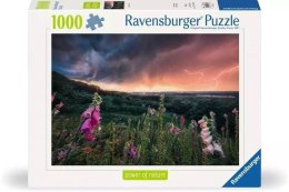 Puzzle 1000 Nadchodzi burza