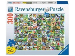 Puzzle 300 99 zachwycających ptaków