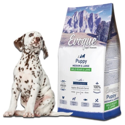 Evoque Puppy Dziczyzna z jagnięciną M&L Super Premium 2kg Evoque