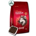 PRÓBKA Canun Invictus z jagnięciną 60g Canun