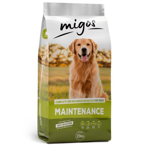 Migos Maintenance 20kg Migos